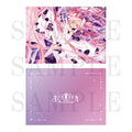 Puella Magi Madoka Magica: Magia Exedra Metallic Clear File (6 types)