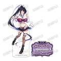 High School DxD Newly Drawn BIG Acrylic Stand LL (American School ver.) Akeno Himejima