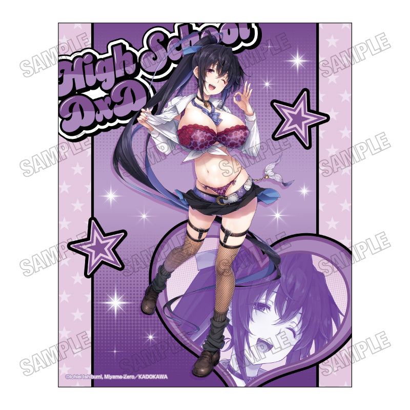 High School DxD Extra Newly Drawn Canvas Art (American School ver.) Akeno Himejima