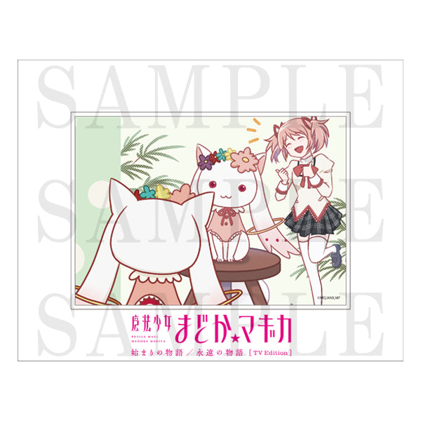 Puella Magi Madoka Magica: The Beginning Story & amp; The Eternal Story TV Edition Tabletop Character Fine Mat (10 types in total)