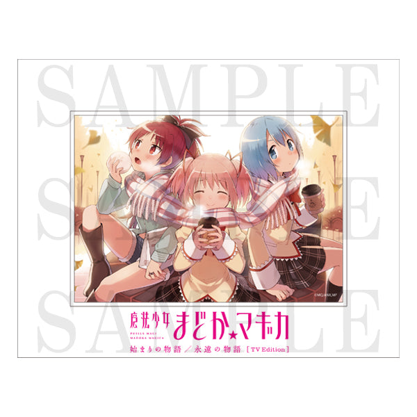 Puella Magi Madoka Magica: The Beginning Story & amp; The Eternal Story TV Edition Tabletop Character Fine Mat (10 types in total)