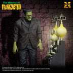 The Monster of Frankenstein 1/8 Scale Model Kit