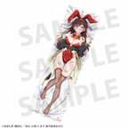 TV Anime "Rent-A-Girlfriend" Mizuhara Chizuru (Bunny ver.) Body Pillow Cover