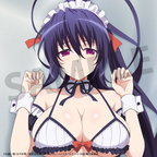 Anime "High School DxD HERO" Himejima Akeno Body Pillow Cover