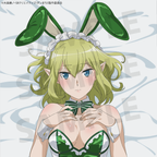 TV anime "Is It Wrong to Try to Pick Up Girls in a Dungeon? V" Ryu (Bunny) Body Pillow Cover