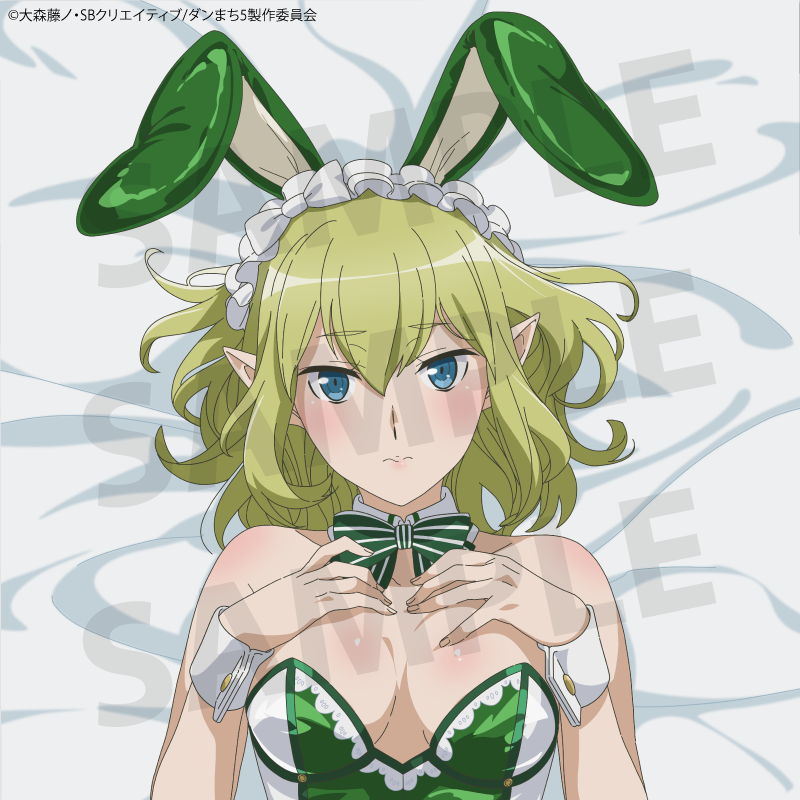 TV anime "Is It Wrong to Try to Pick Up Girls in a Dungeon? V" Ryu (Bunny) Body Pillow Cover
