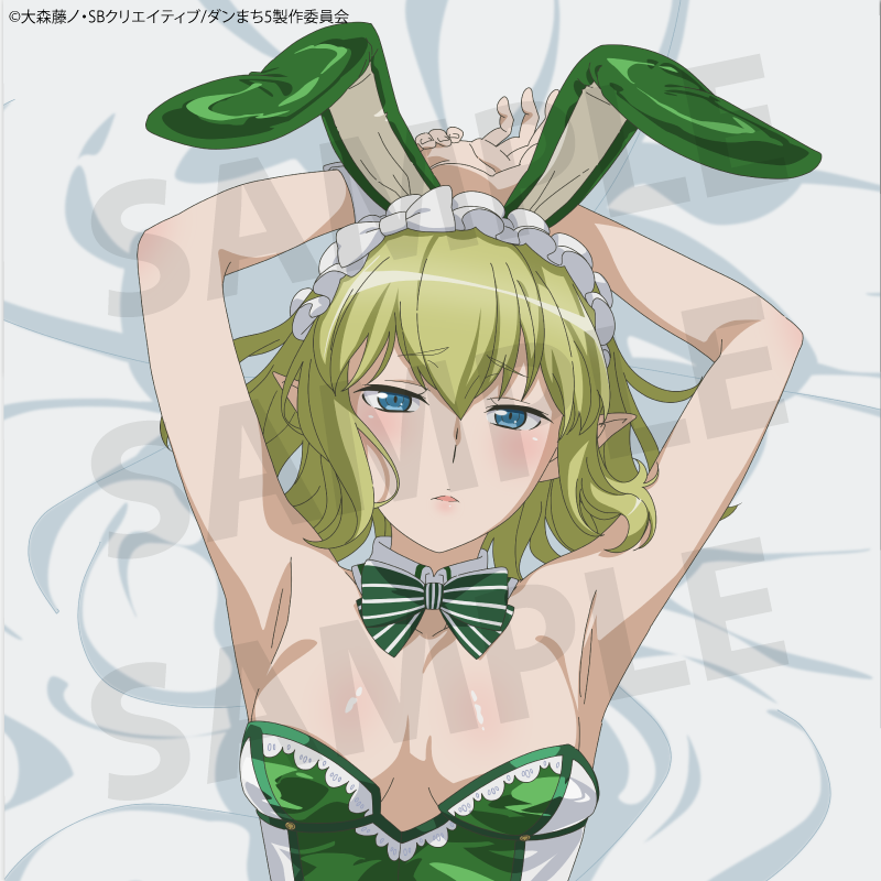TV anime "Is It Wrong to Try to Pick Up Girls in a Dungeon? V" Ryu (Bunny) Body Pillow Cover