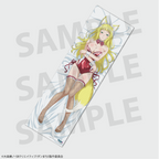 TV anime "Is It Wrong to Try to Pick Up Girls in a Dungeon? V" Haruhime (Bunny) Body Pillow Cover