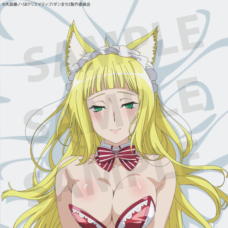 TV anime "Is It Wrong to Try to Pick Up Girls in a Dungeon? V" Haruhime (Bunny) Body Pillow Cover