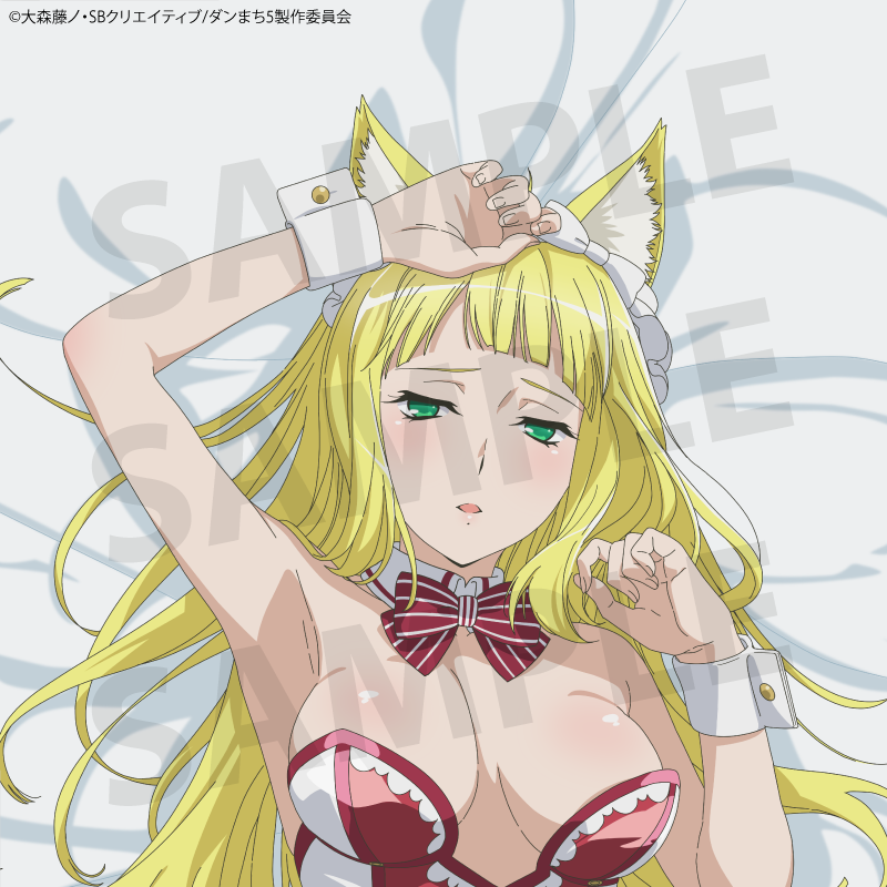 TV anime "Is It Wrong to Try to Pick Up Girls in a Dungeon? V" Haruhime (Bunny) Body Pillow Cover