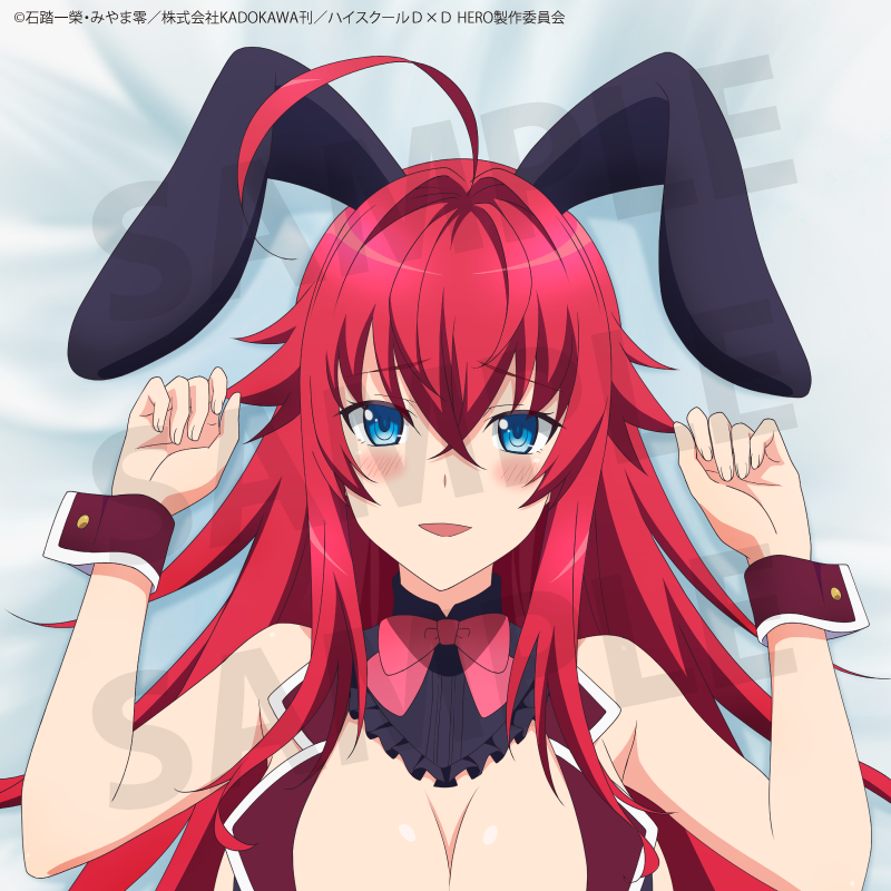 Anime "High School DxD HERO" 2nd Edition Rias Gremory Body Pillow Cover