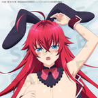 Anime "High School DxD HERO" 2nd Edition Rias Gremory Body Pillow Cover
