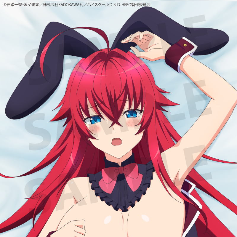 Anime "High School DxD HERO" 2nd Edition Rias Gremory Body Pillow Cover