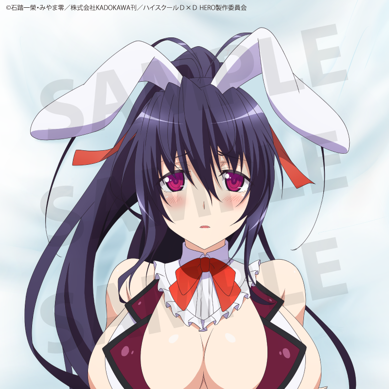 Anime "High School DxD HERO" 2nd Edition Himejima Akeno Body Pillow Cover