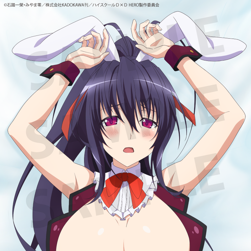 Anime "High School DxD HERO" 2nd Edition Himejima Akeno Body Pillow Cover