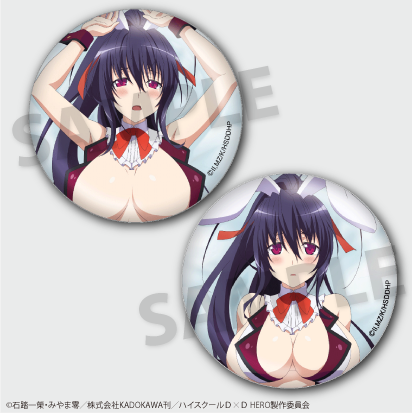 Anime "High School DxD HERO" 2nd Edition Himejima Akeno Can Badge Set