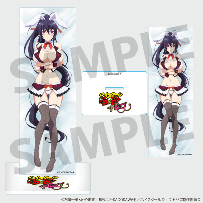 Anime "High School DxD HERO" 2nd Edition Himejima Akeno Acrylic Stand A