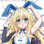 TV Anime "Goblin Slayer II" Priestess Body Pillow Cover