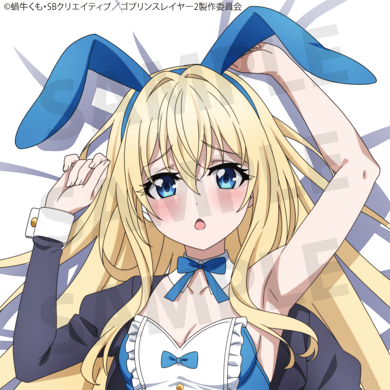TV Anime "Goblin Slayer II" Priestess Body Pillow Cover