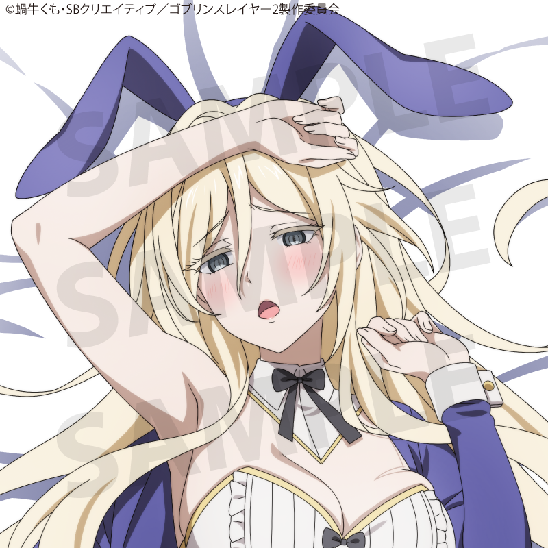 TV Anime "Goblin Slayer II" Sword Maiden Body Pillow Cover