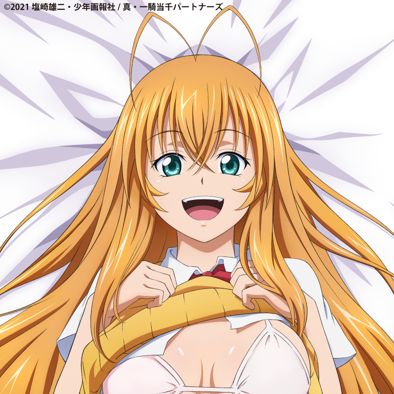 "Shin Ikki Tousen" Sonsaku Hakufu Body Pillow Cover