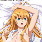 "Shin Ikki Tousen" Sonsaku Hakufu Body Pillow Cover
