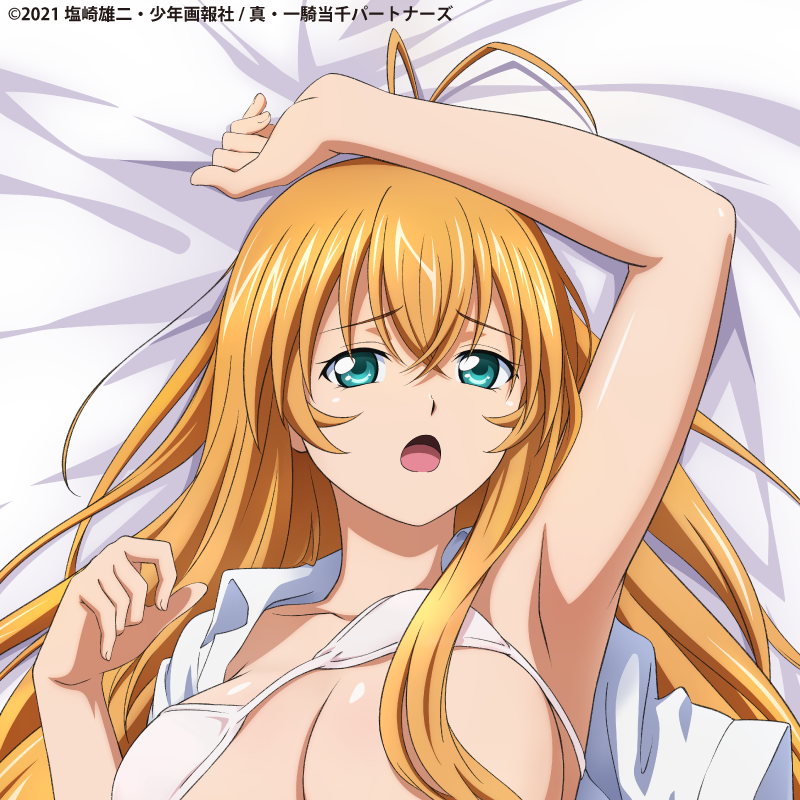 "Shin Ikki Tousen" Sonsaku Hakufu Body Pillow Cover