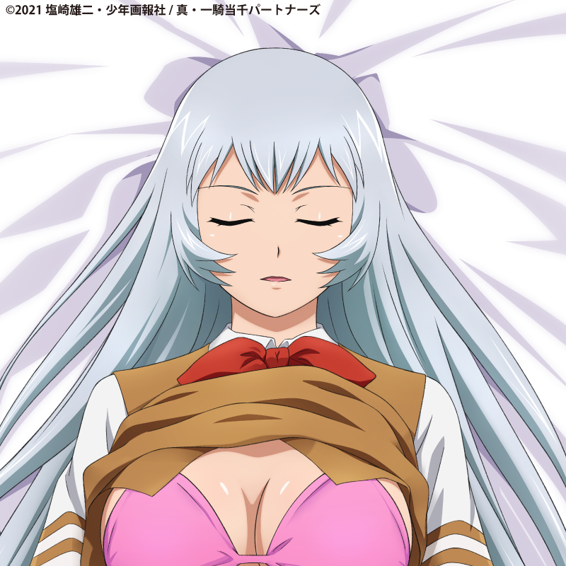 Shin Ikki Tousen Body Pillow Cover Shiryuu Chou'un