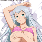 "Shin Ikki Tousen" Chou'un, Shiryuu Body Pillow Cover
