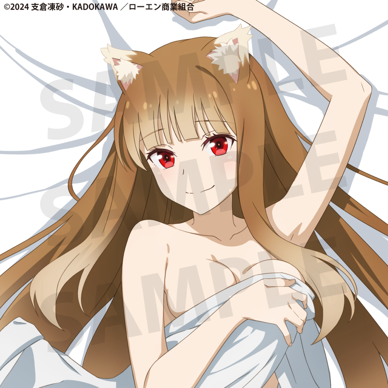 TV Anime "Spice and Wolf: Merchant Meets the Wise Wolf" Holo Body Pillow Cover