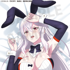 TV Anime "Chained Soldier" Uzen Kyouka Body Pillow Cover