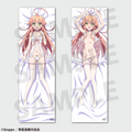 Nukitashi The Animation Hinami Watarai Official Illustration Dakimakura Cover