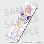 Redo of Healer Freia Official Newly Illustrated Dakimakura Cover