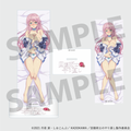 Redo of Healer Freia Official Newly Illustrated Acrylic Stand A