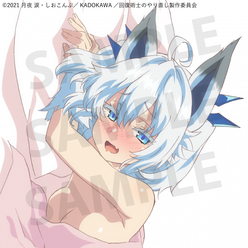 Redo of Healer Setsuna Official Newly Illustrated Dakimakura Cover