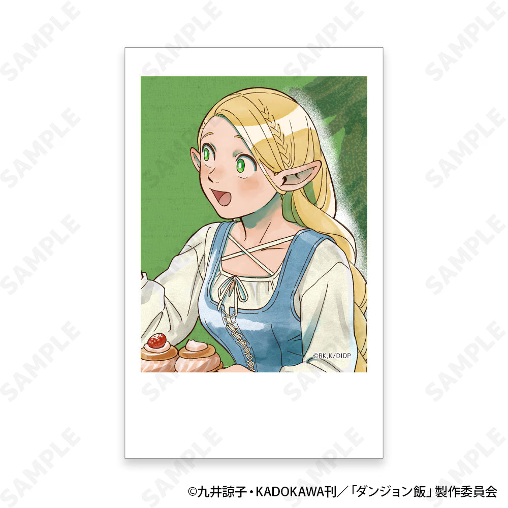Delicious in Dungeon Real Film Photo Picnic Ver. (Complete Box Set)