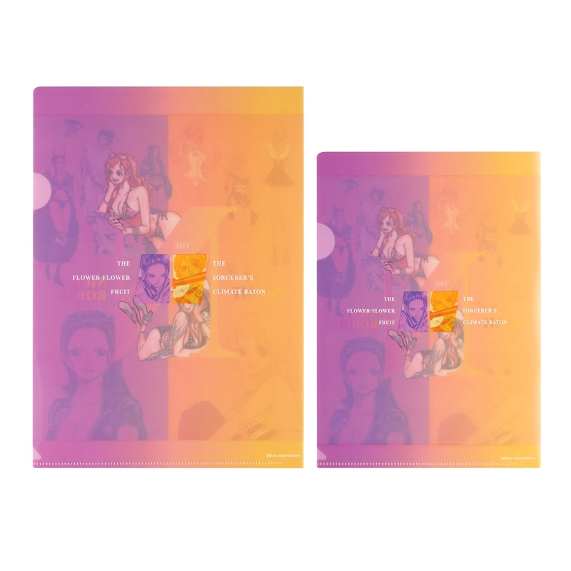 ONE PIECE Clear File Set of 2 (A4, B5) Nami & Robin