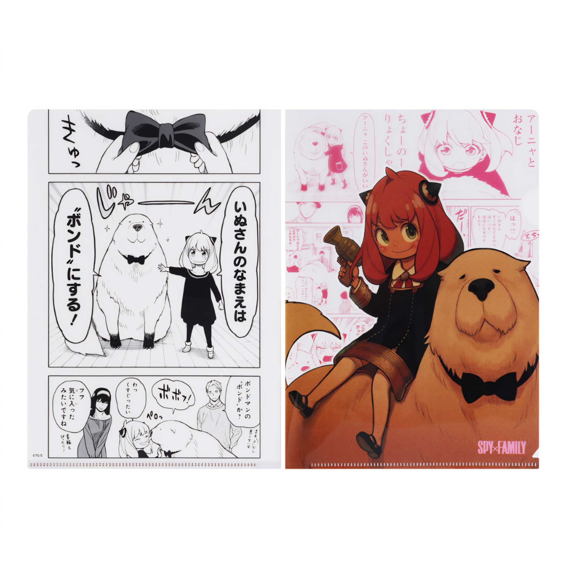 SPY×FAMILY School Set (9 pieces) [Jump Festa 2024]