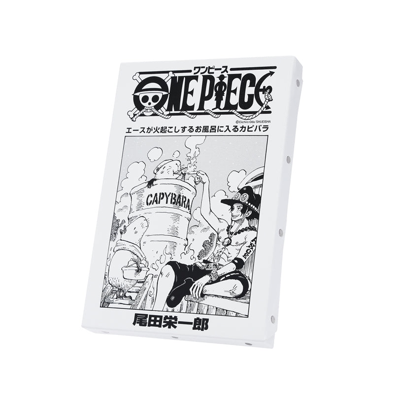 ONE PIECE Manga Front Cover Canvas Art Board Ace (Volume 107, Chapter 1087)