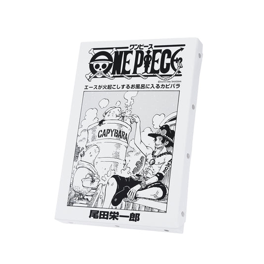 ONE PIECE Manga Front Cover Canvas Art Board Ace (Volume 107, Chapter 1087)