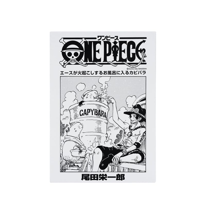 ONE PIECE Manga Front Cover Canvas Art Board Ace (Volume 107, Chapter 1087)
