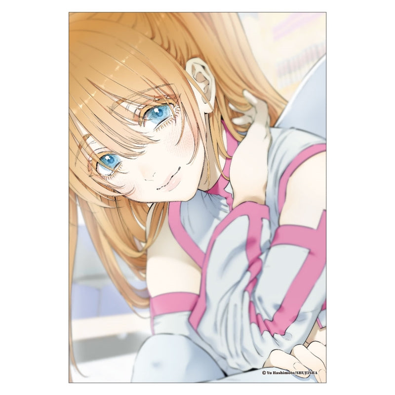 "2.5 Dimensional Seduction" Art Board Amano Ririsa [JCS Limited]