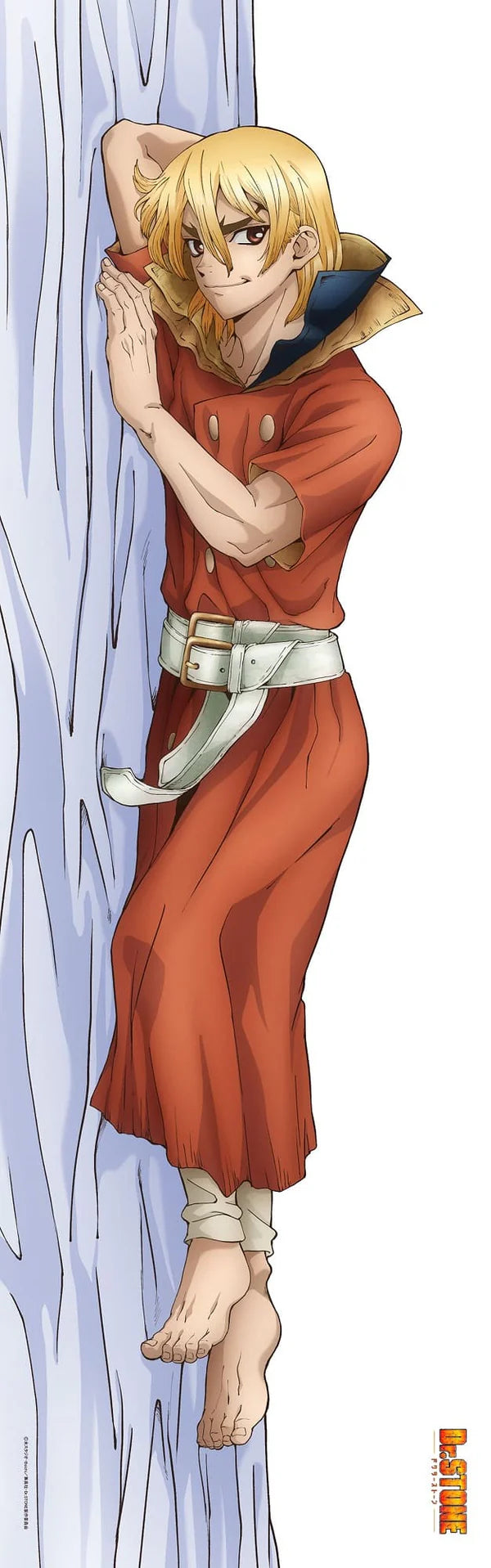 Dr. STONE Original Illustration Premium Body Pillow Cover (6 types)