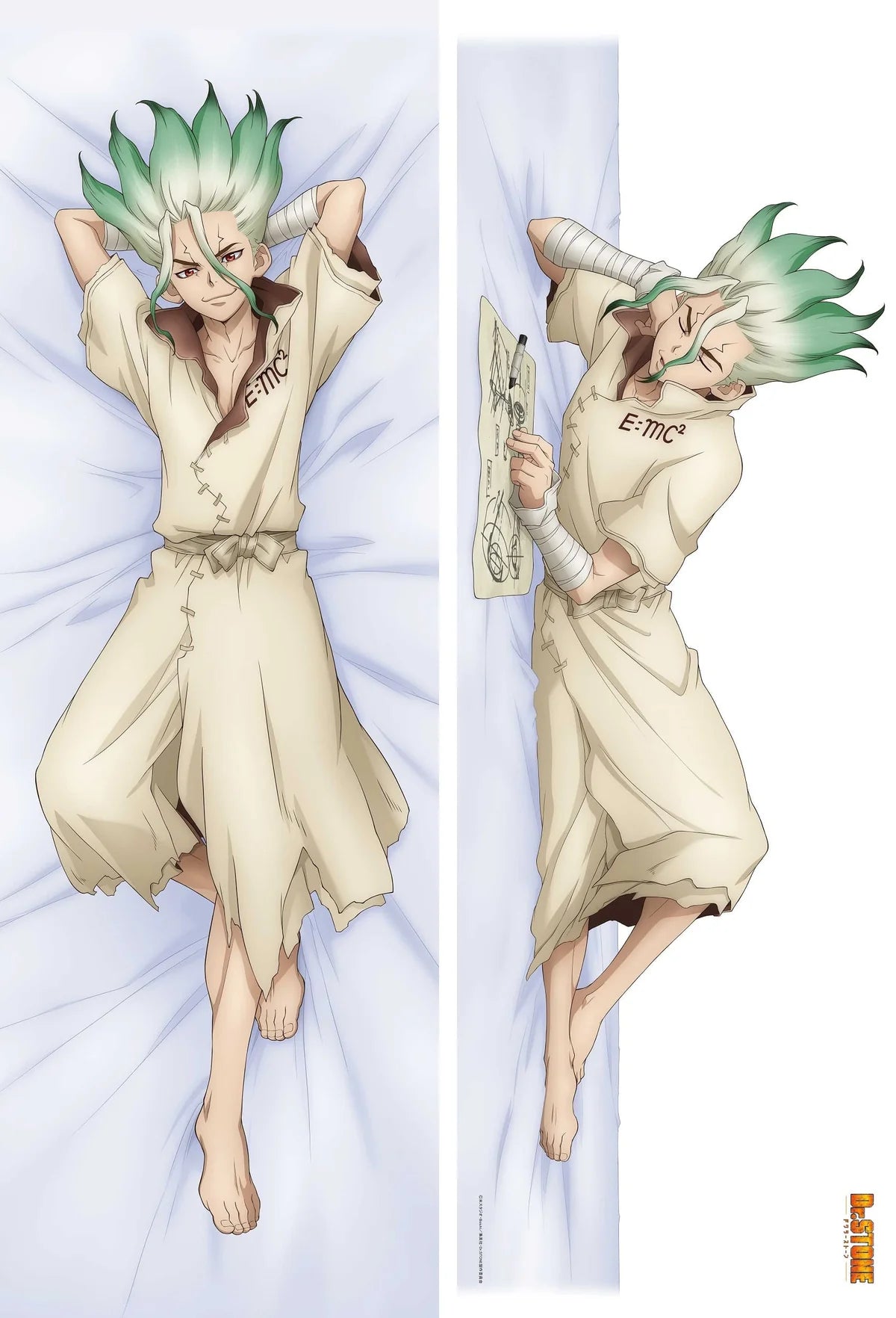 Dr. STONE Original Illustration Premium Body Pillow Cover (6 types)