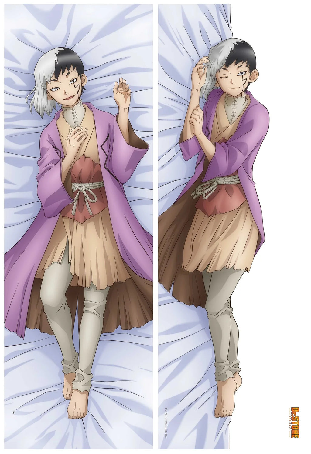 Dr. STONE Original Illustration Premium Body Pillow Cover (6 types)