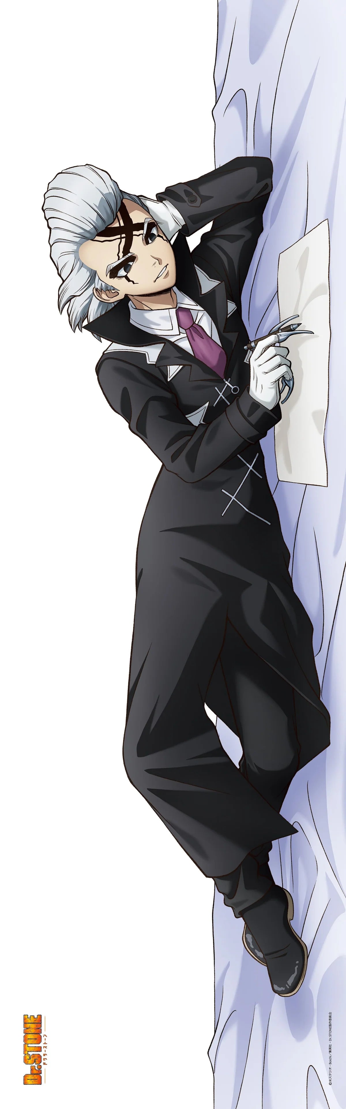 Dr. STONE Original Illustration Premium Body Pillow Cover (6 types)