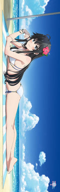 My Teen Romantic Comedy SNAFU Climax Original Illustration Body Pillow Cover Swimsuit Ver. (4 types)