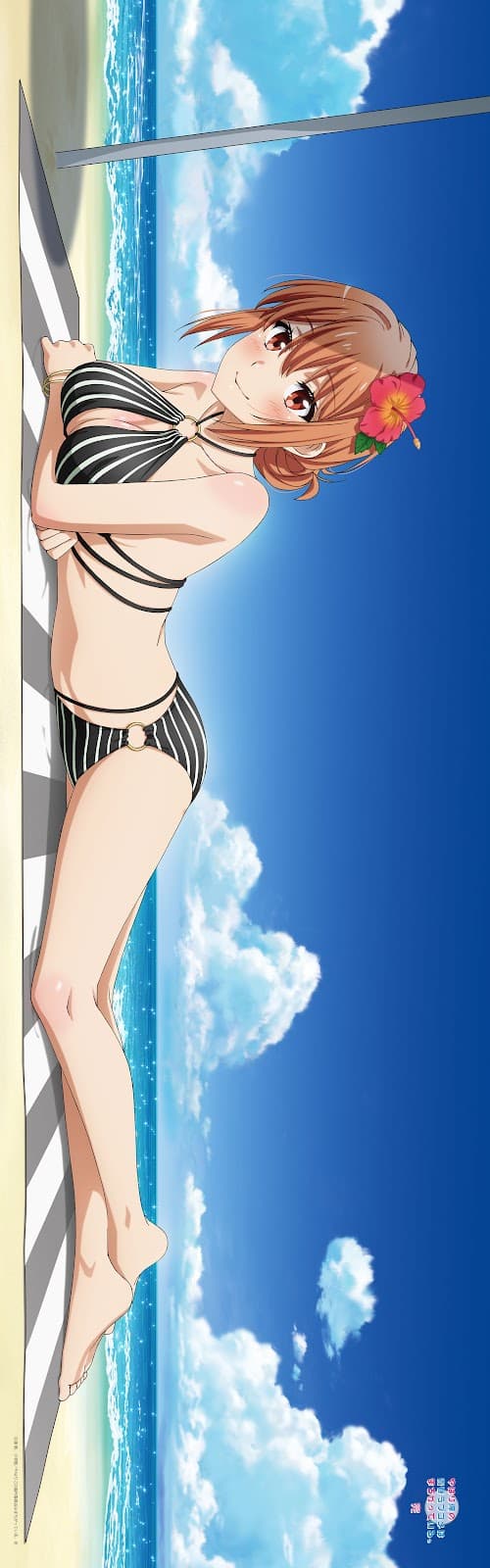 My Teen Romantic Comedy SNAFU Climax Original Illustration Body Pillow Cover Swimsuit Ver. (4 types)