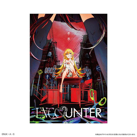 Monogatari Series x Mika Pikazo ENCOUNTER - Encounter - Collection