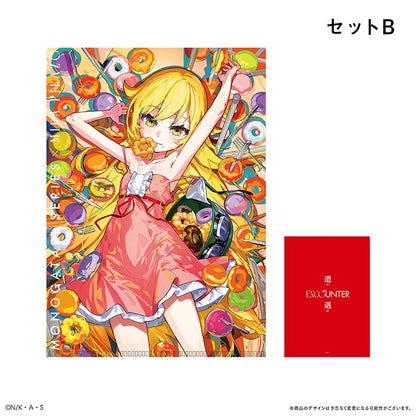 Monogatari Series x Mika Pikazo ENCOUNTER Clear File Set